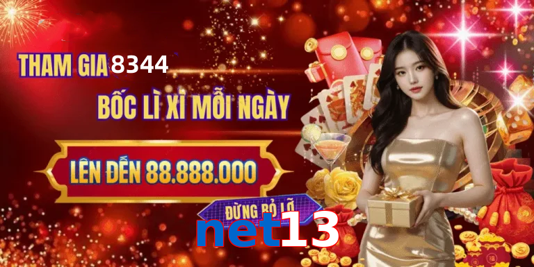 net13
