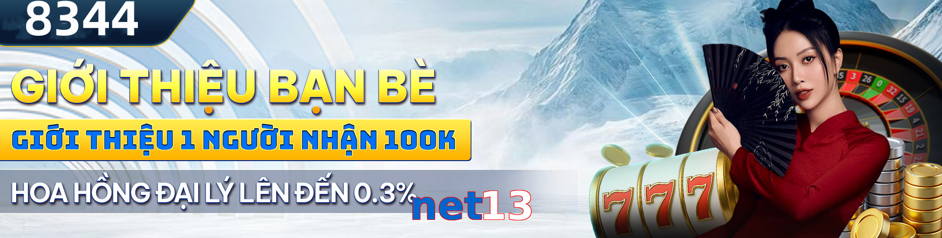 net13