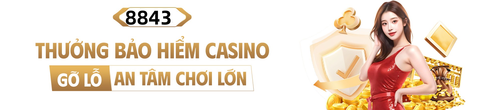 Hình ảnh quảng cáo của net13 hiển thị nền tảng và các lợi ích