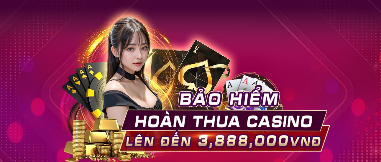 Hình ảnh quảng cáo của net13 hiển thị nền tảng và các lợi ích