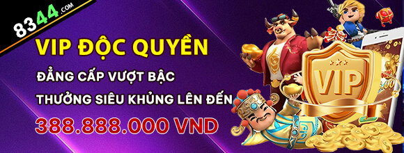 Hình ảnh quảng cáo của net13 hiển thị nền tảng và các lợi ích