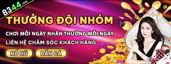 Hình ảnh quảng cáo của net13 hiển thị nền tảng và các lợi ích