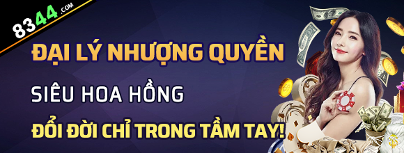 Hình ảnh quảng cáo của net13 hiển thị nền tảng và các lợi ích