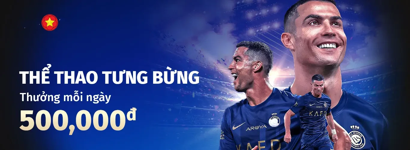 Hình ảnh quảng cáo của net13 hiển thị nền tảng và các lợi ích
