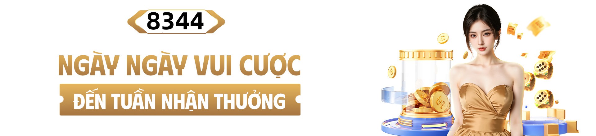 Hình ảnh quảng cáo của net13 hiển thị nền tảng và các lợi ích
