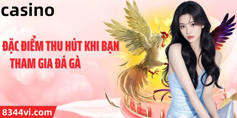 Hình ảnh quảng cáo của net13 hiển thị nền tảng và các lợi ích