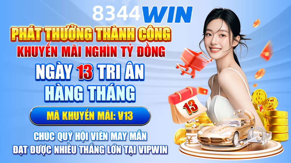 Hình ảnh quảng cáo của net13 hiển thị nền tảng và các lợi ích