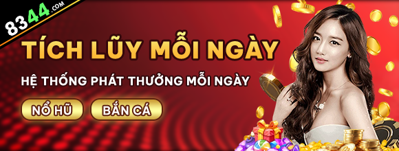 Hình ảnh quảng cáo của net13 hiển thị nền tảng và các lợi ích