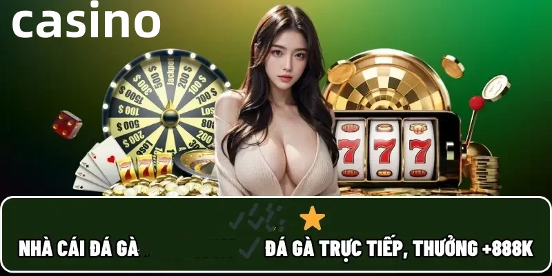 Hình ảnh quảng cáo của net13 hiển thị nền tảng và các lợi ích