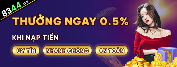 Hình ảnh quảng cáo của net13 hiển thị nền tảng và các lợi ích