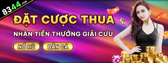 Hình ảnh quảng cáo của net13 hiển thị nền tảng và các lợi ích