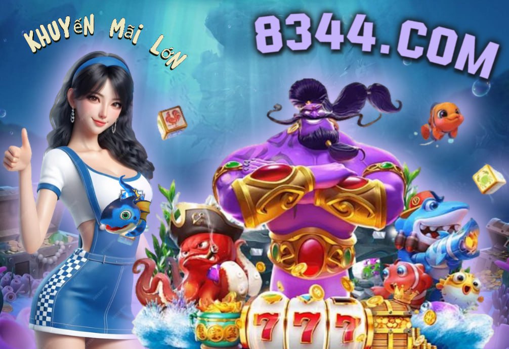 Hình ảnh quảng cáo của net13 hiển thị nền tảng và các lợi ích