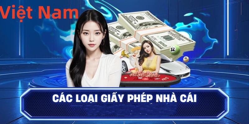 Hình ảnh quảng cáo của net13 hiển thị nền tảng và các lợi ích