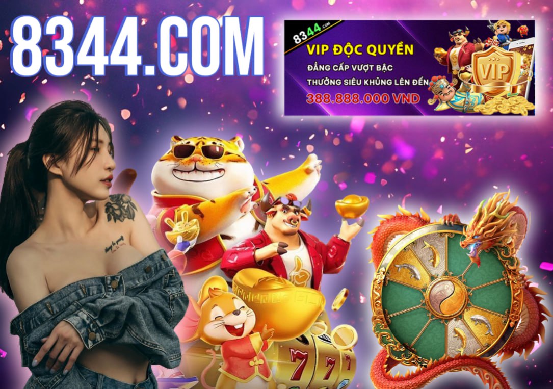 Hình ảnh quảng cáo của net13 hiển thị nền tảng và các lợi ích