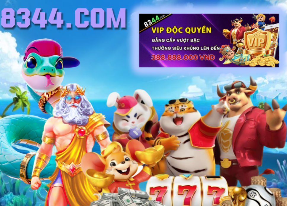 Hình ảnh quảng cáo của net13 hiển thị nền tảng và các lợi ích