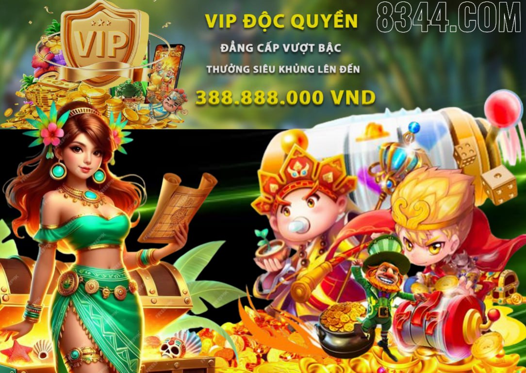 Hình ảnh quảng cáo của net13 hiển thị nền tảng và các lợi ích