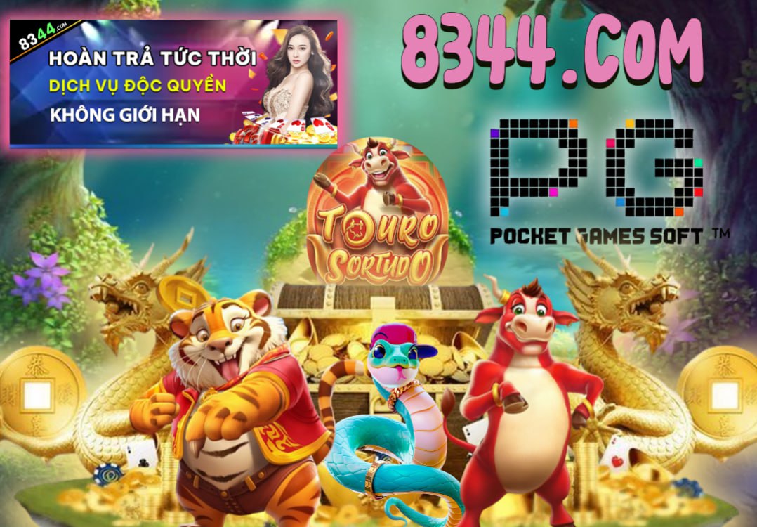 Hình ảnh quảng cáo của net13 hiển thị nền tảng và các lợi ích