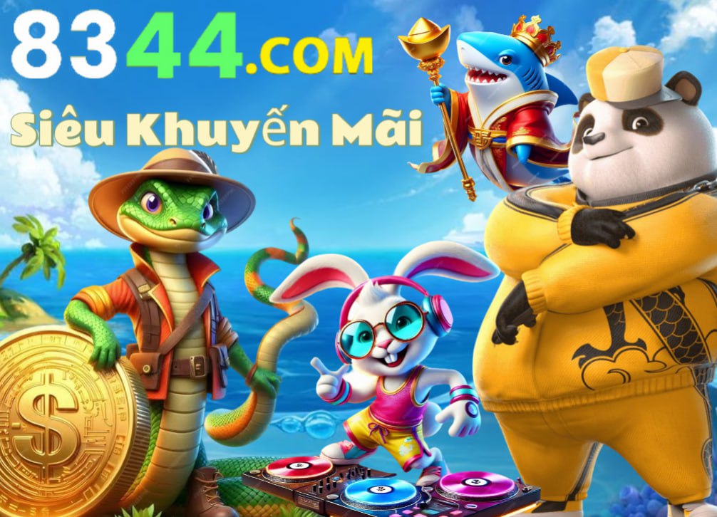 Hình ảnh quảng cáo của net13 hiển thị nền tảng và các lợi ích