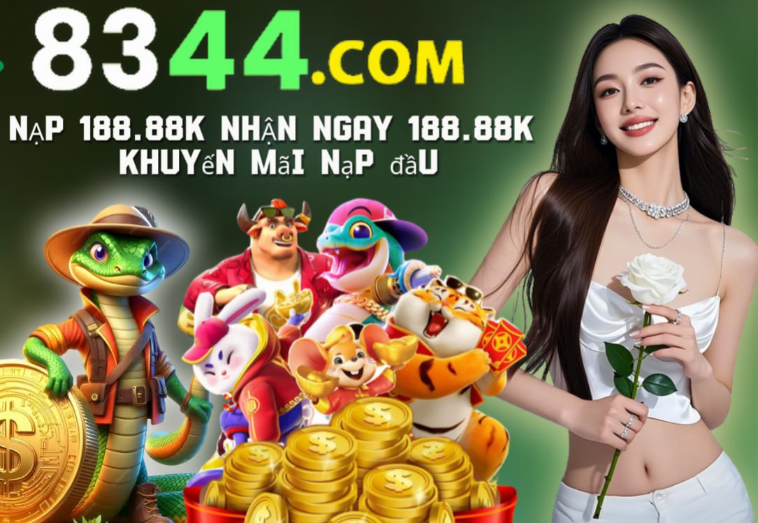 Hình ảnh quảng cáo của net13 hiển thị nền tảng và các lợi ích