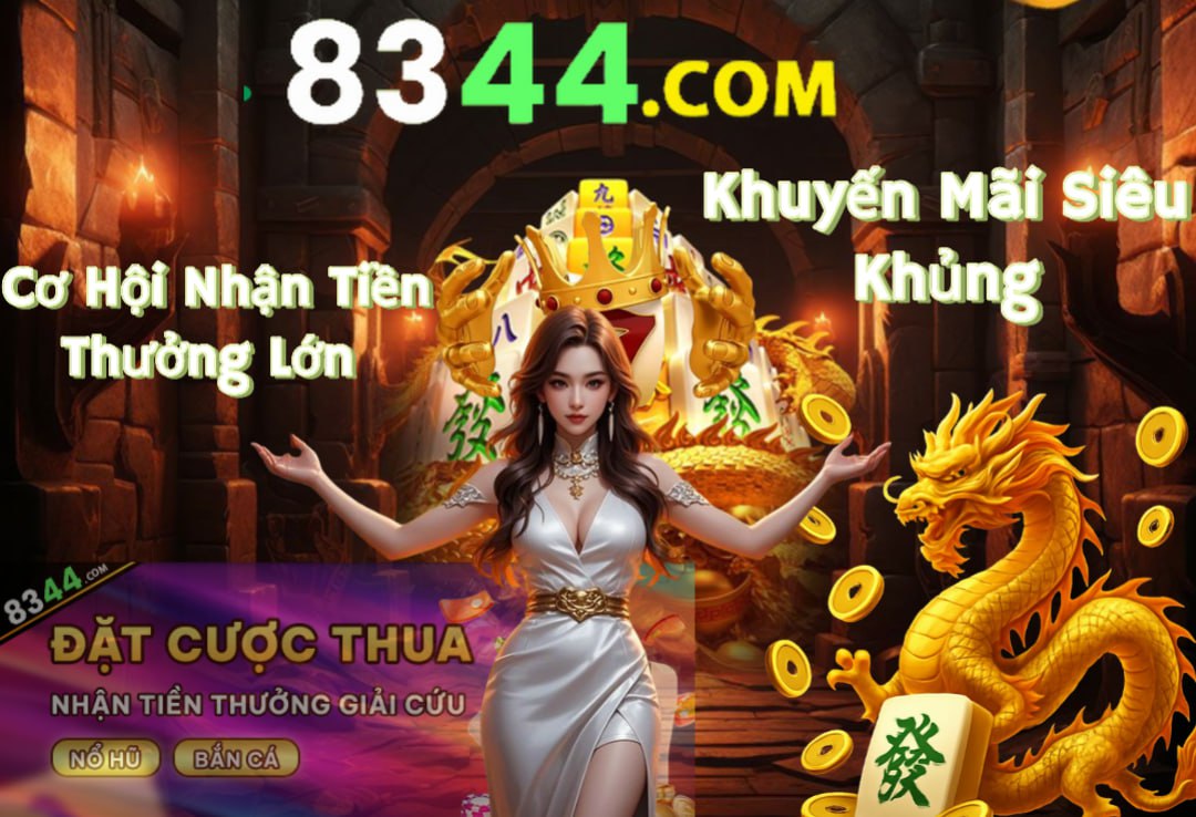 Hình ảnh quảng cáo của net13 hiển thị nền tảng và các lợi ích