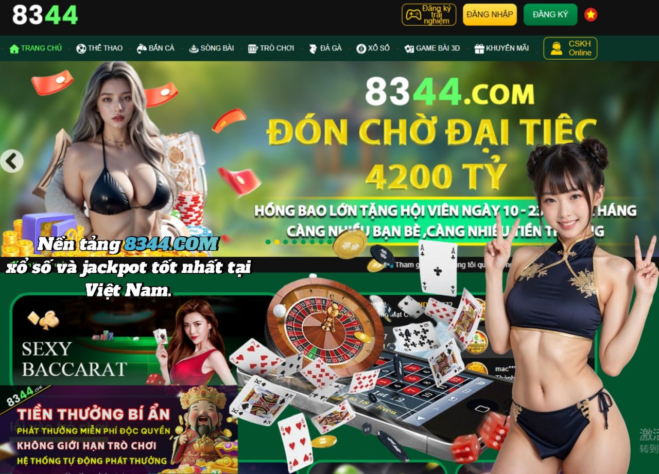 Hình ảnh quảng cáo của net13 hiển thị nền tảng và các lợi ích
