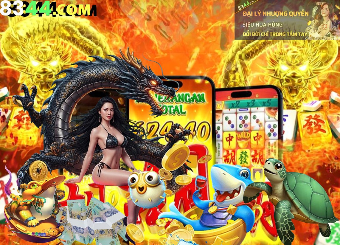 Hình ảnh quảng cáo của net13 hiển thị nền tảng và các lợi ích