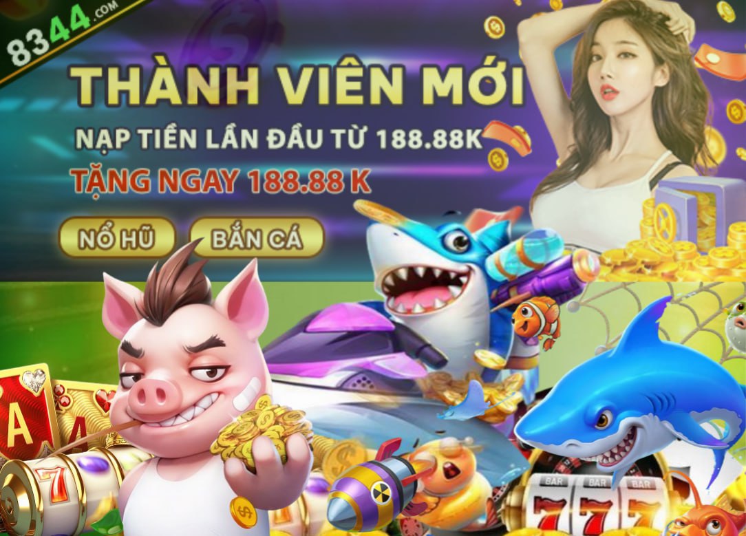 Hình ảnh quảng cáo của net13 hiển thị nền tảng và các lợi ích