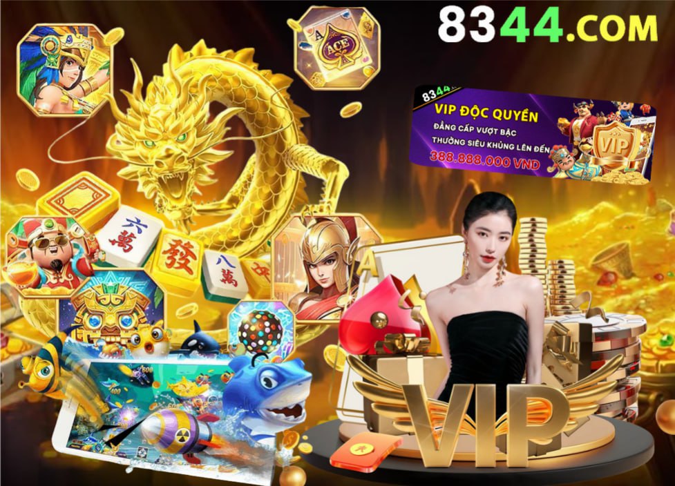 Hình ảnh quảng cáo của net13 hiển thị nền tảng và các lợi ích