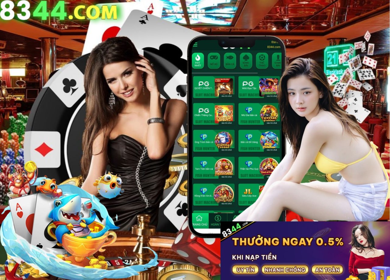 Hình ảnh quảng cáo của net13 hiển thị nền tảng và các lợi ích