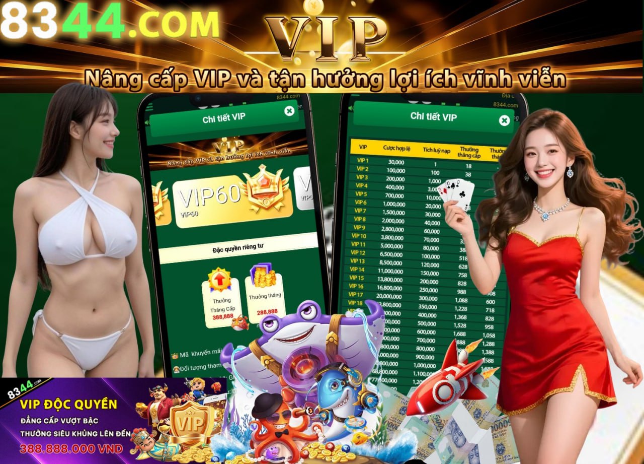 Hình ảnh quảng cáo của net13 hiển thị nền tảng và các lợi ích