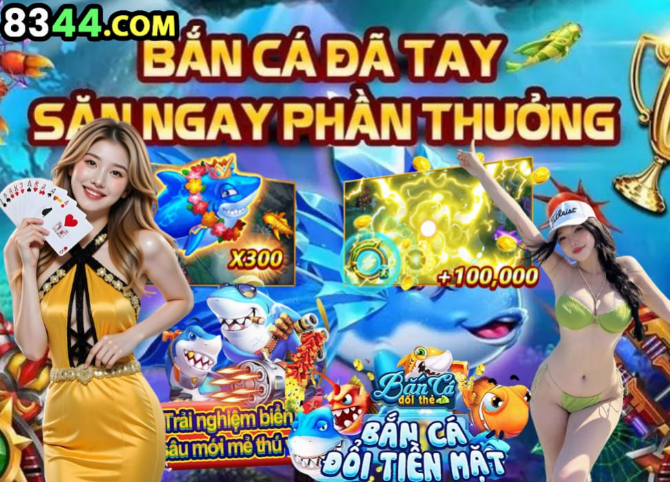 Hình ảnh quảng cáo của net13 hiển thị nền tảng và các lợi ích